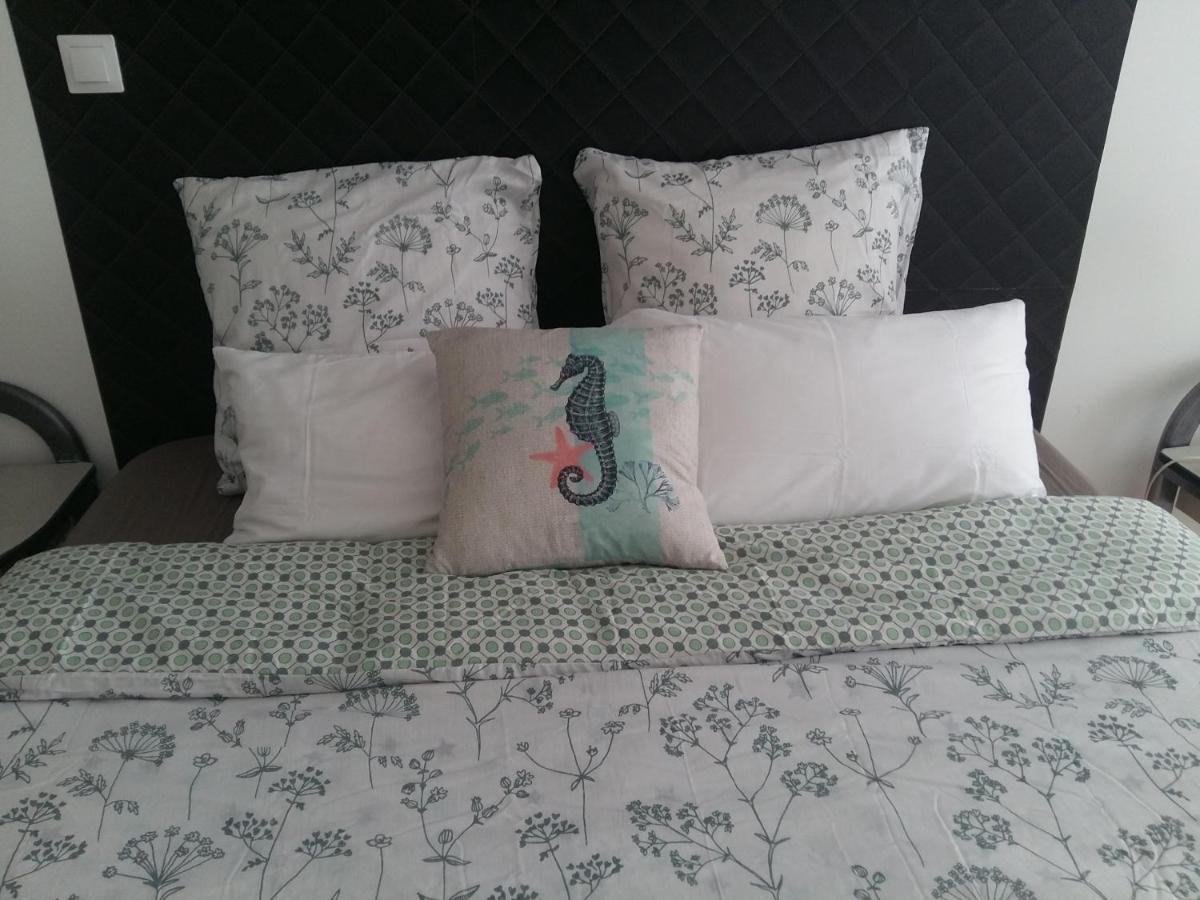 Blanc De Tardy Apartment Saint-Etienne  Luaran gambar