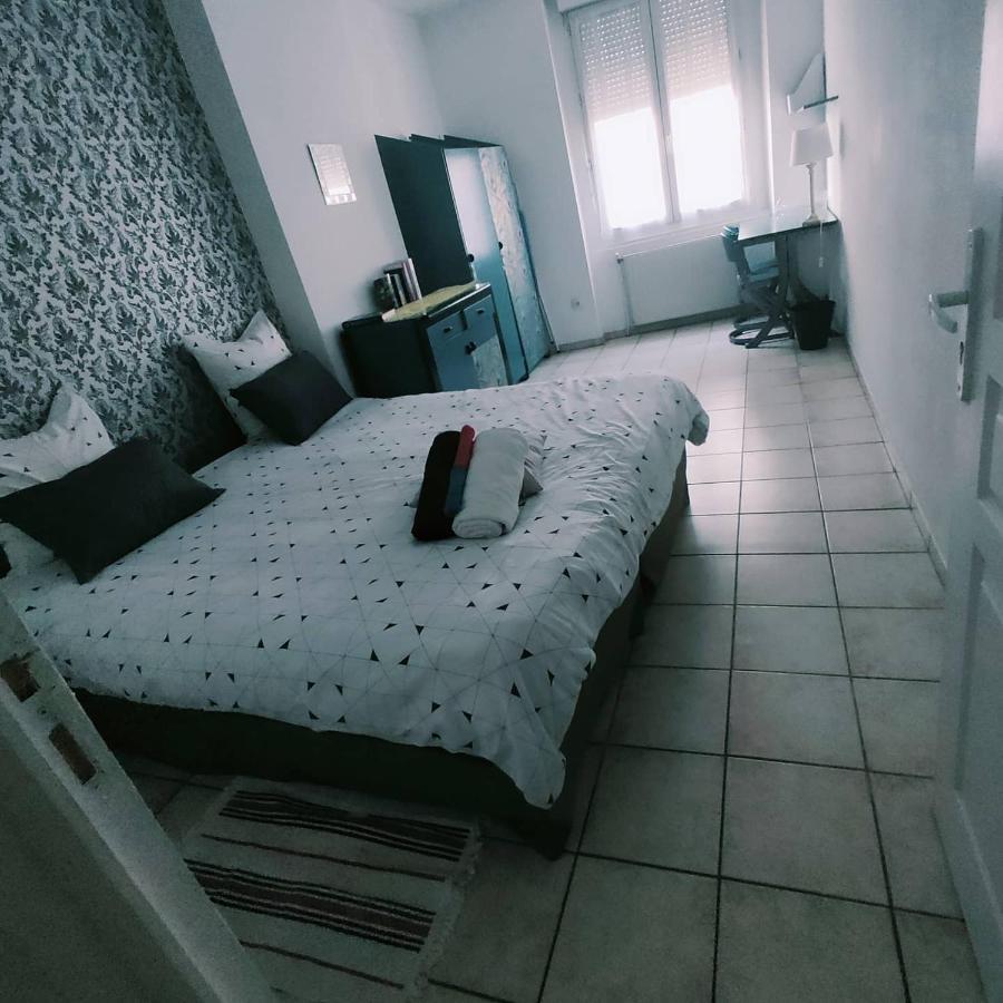 Blanc De Tardy Apartment Saint-Etienne  Luaran gambar
